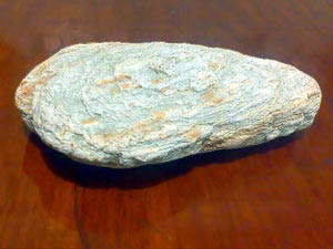 Rock from a beach